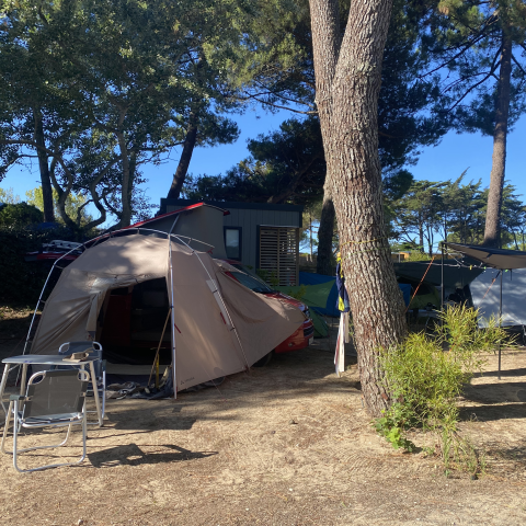 Luxuriöse Stellplatzvermietung für Zelt, Wohnwagen, Wohnmobil in der Charente-Maritime in Strandnähe