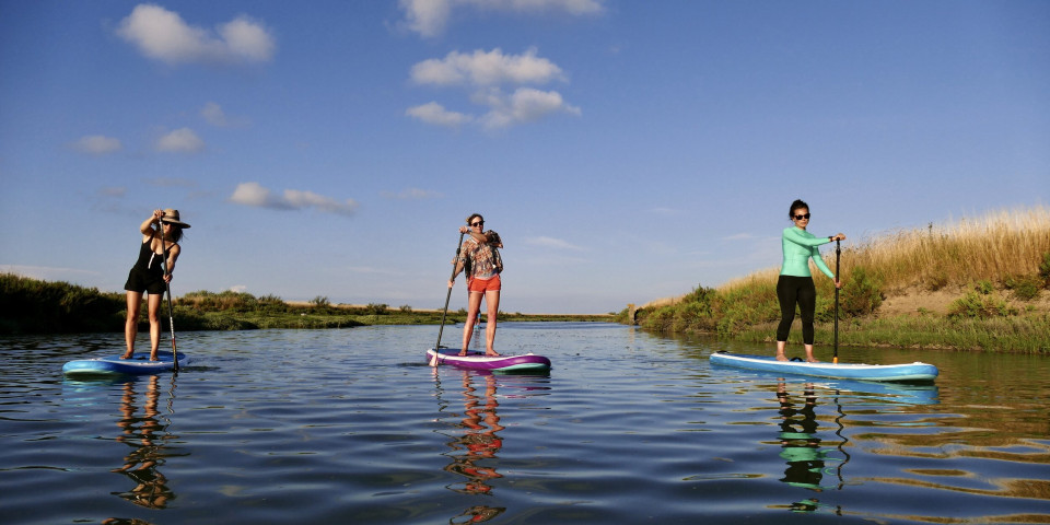 Paddle in the salt marshes, nautical activities on the Ile de Ré.