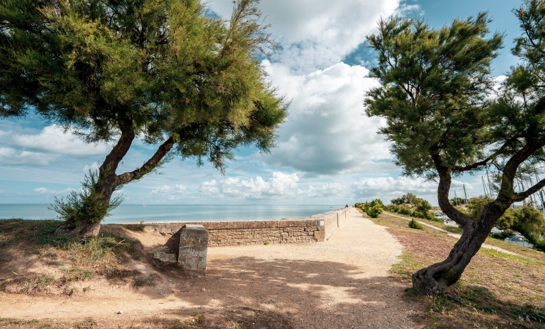 Walk from the campsite through the sandy and wooded landscapes of the Ile de Ré