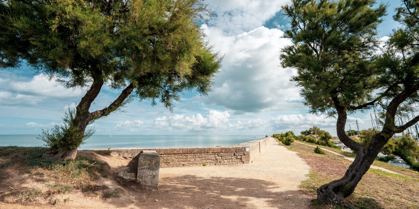 Walk from the campsite through the sandy and wooded landscapes of the Ile de Ré