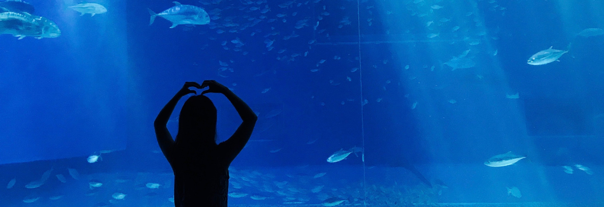 découvrir aquarium la rochelle activité pour enfants location mobile-home