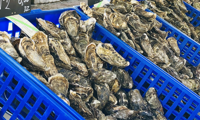 oesters, een culinaire ontdekking om met vrienden te proberen