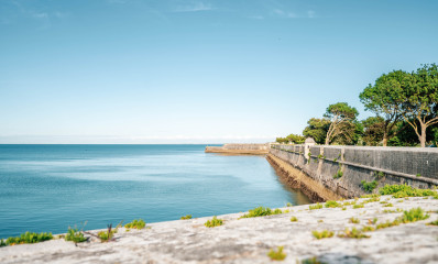 Eindeloze horizon: natuurlijke schoonheid van het strand van Île de Ré